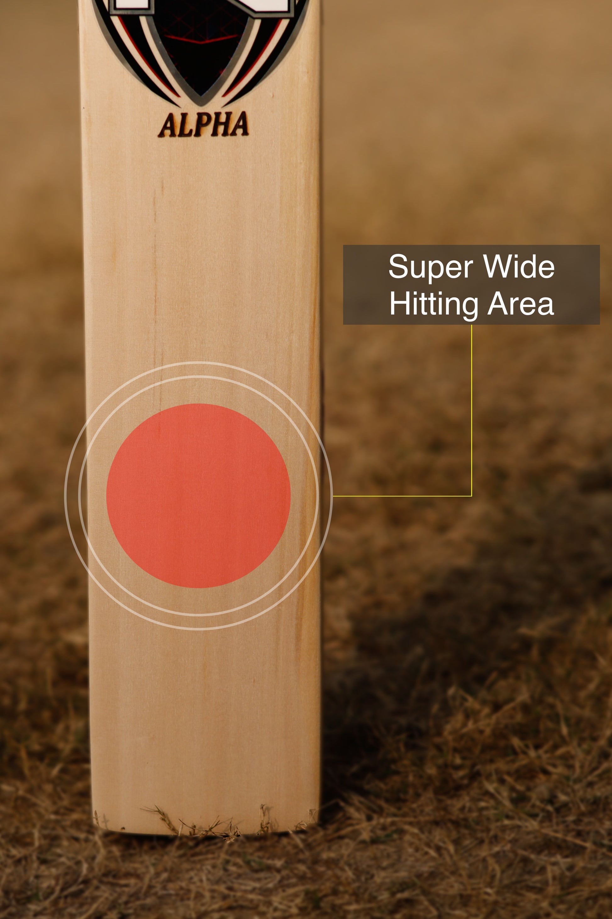 ZAP Alpha Kashmir Willow Cricket Bat-2