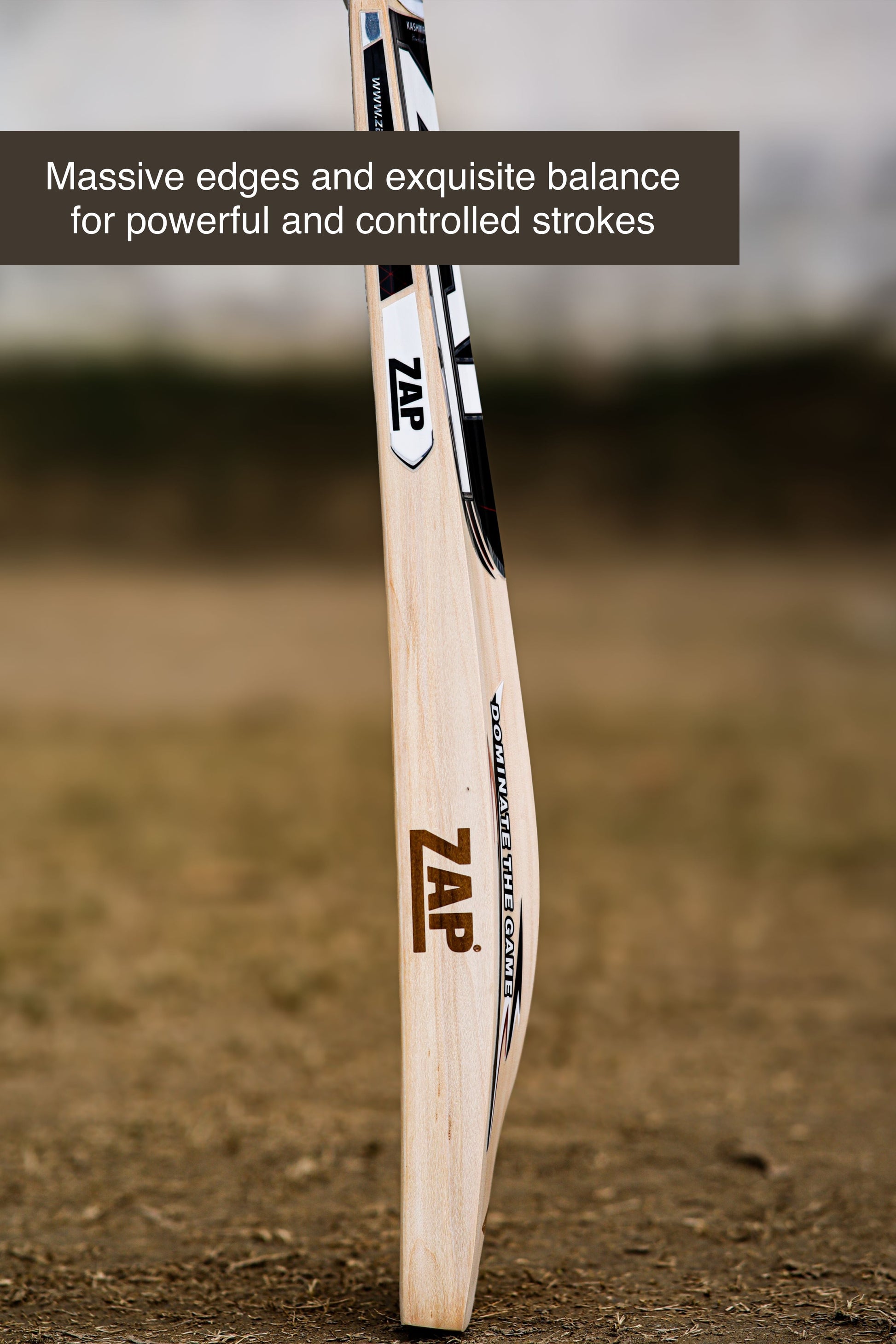ZAP Alpha Kashmir Willow Cricket Bat-3