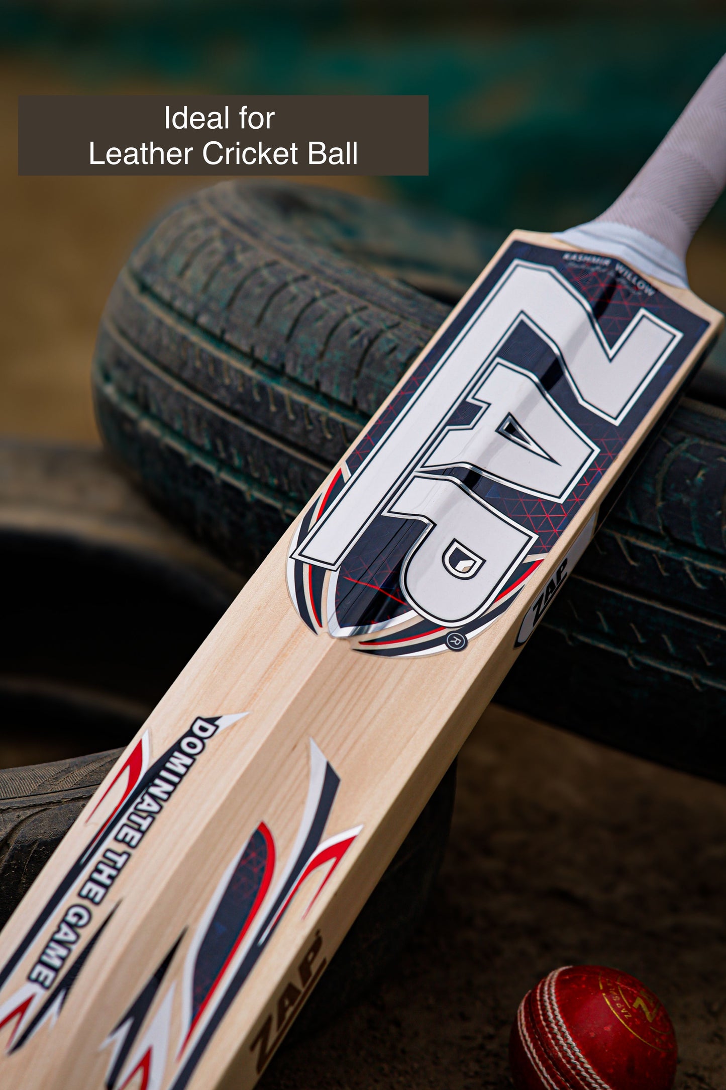 ZAP Alpha Kashmir Willow Cricket Bat-4