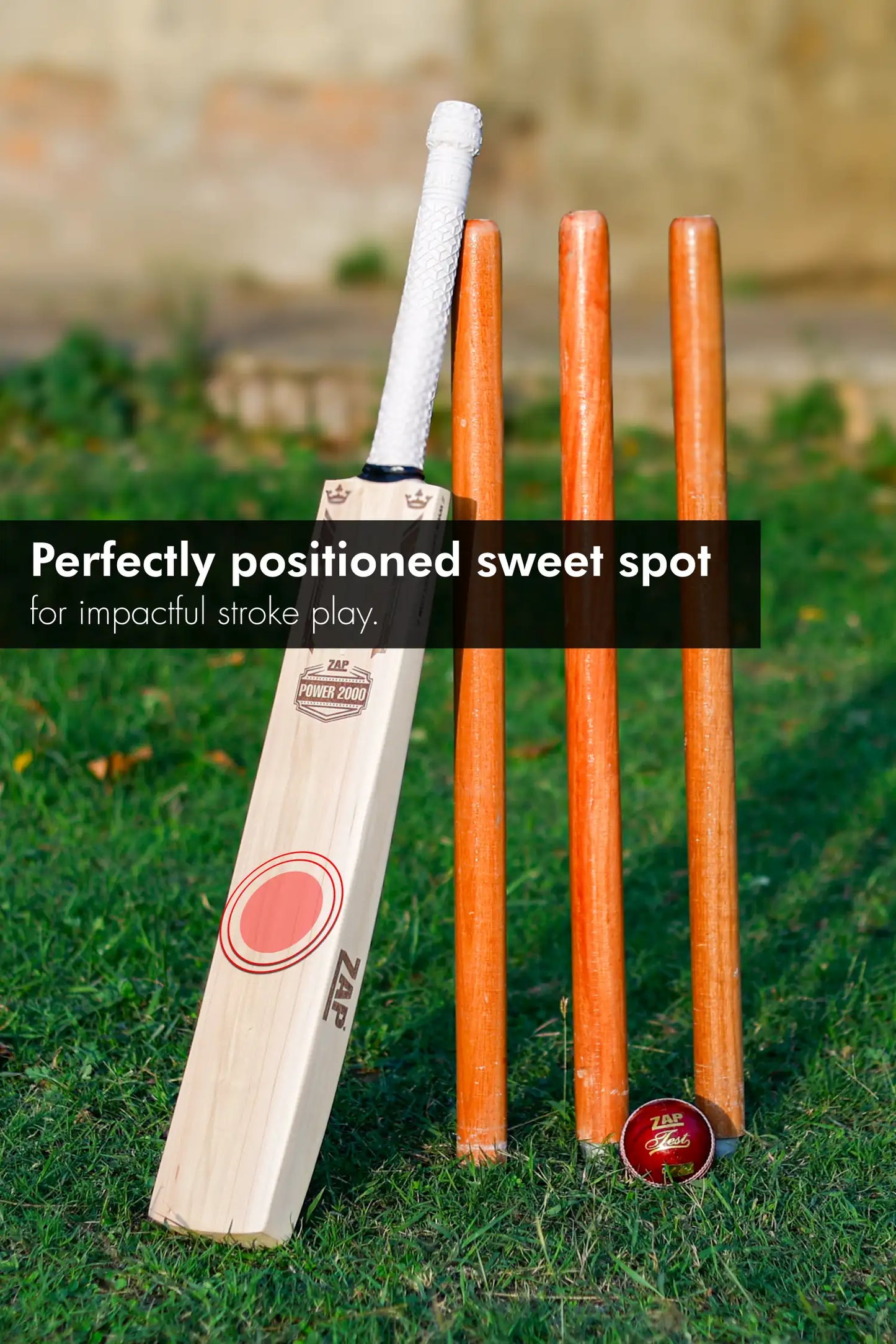 ZAP Signature Power 2000 Premium Willow Bat-1