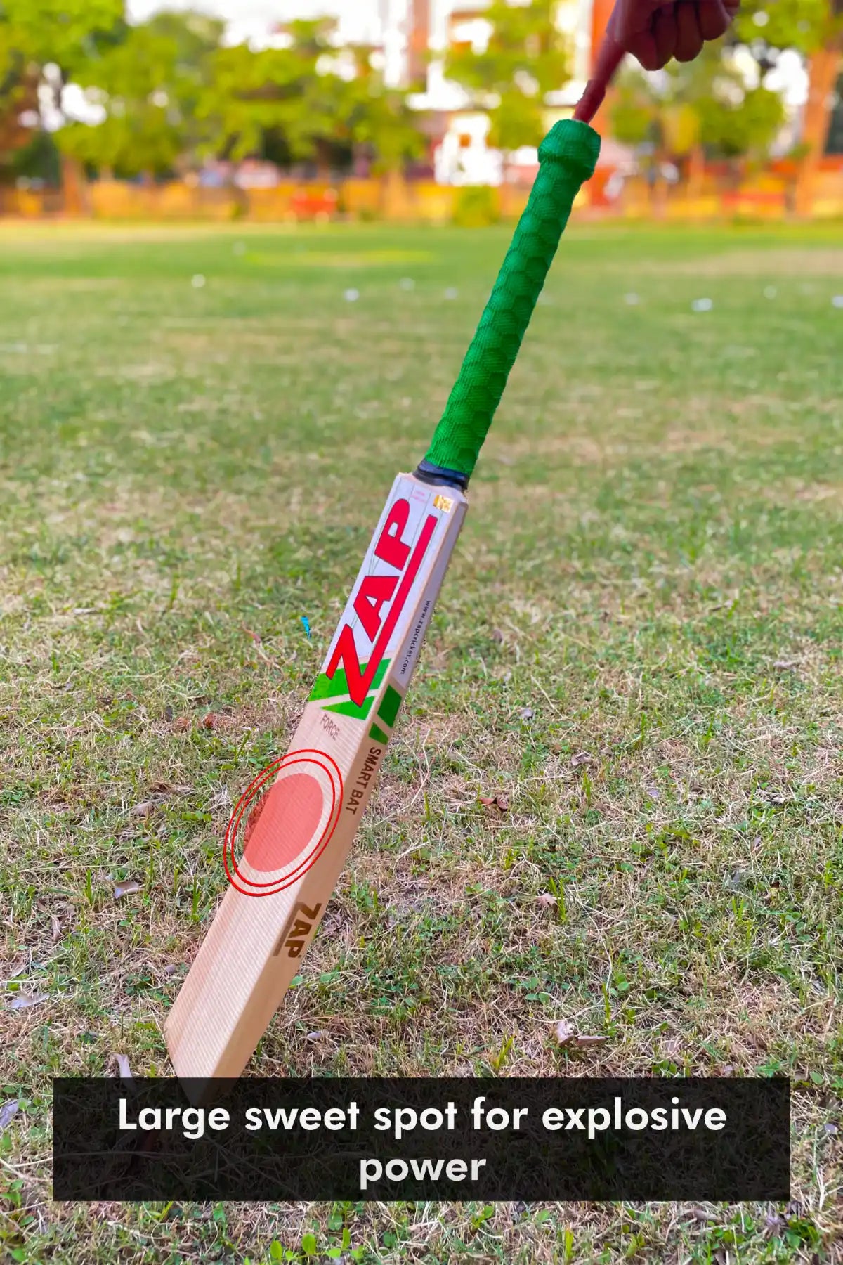 ZAP Force Smart English Willow Bat-3