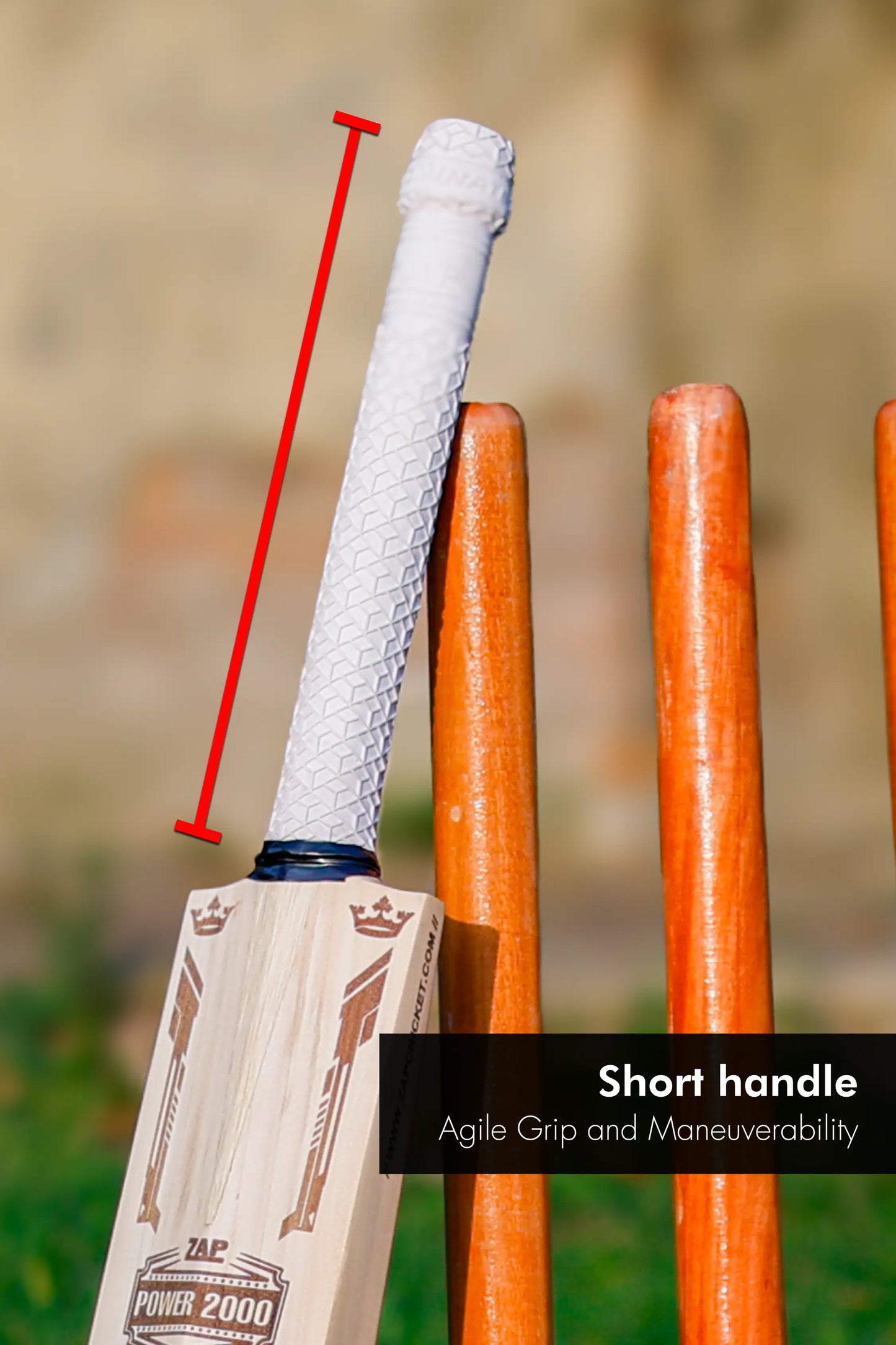 ZAP Signature Power 2000 Premium Willow Bat-3